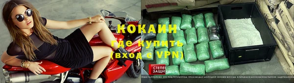 крисы Пестово