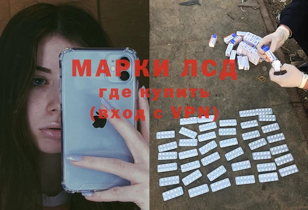 крисы Пестово