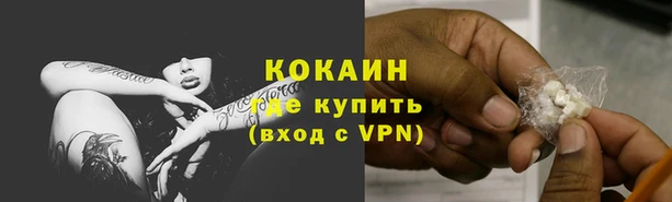 крисы Пестово