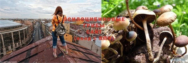 крисы Пестово