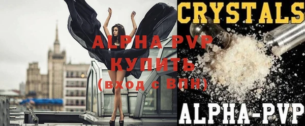 крисы Пестово